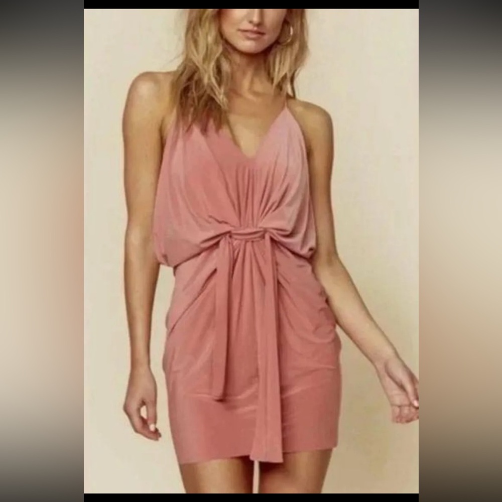 Misa Los Angeles dress